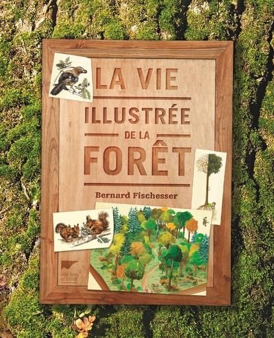 Emprunter La vie illustrée de la forêt livre