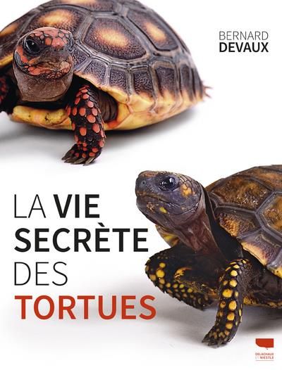 Emprunter La vie secrète des tortues livre