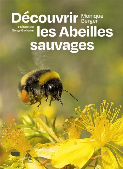 Emprunter Découvrir les abeilles sauvages livre