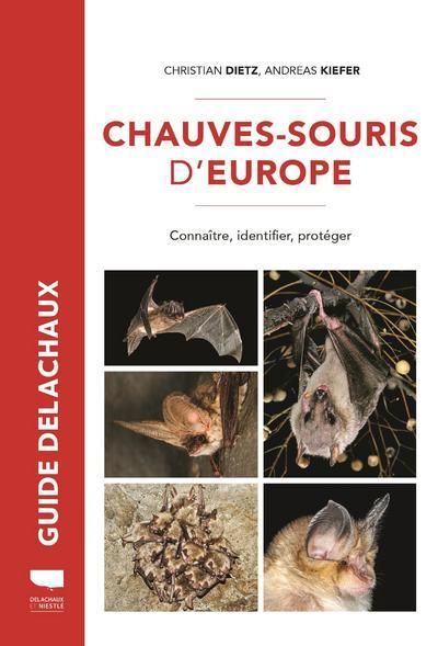 Emprunter Chauves-souris d'Europe. Connaître, identifier, protéger livre