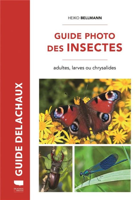 Emprunter Guide photo des insectes. Adultes, larves ou chrysalides livre