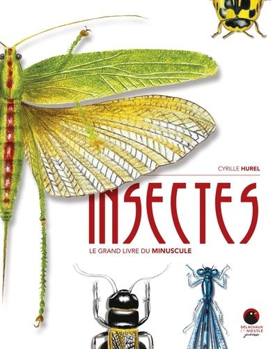 Emprunter Insectes. Le grand livre du minuscule livre