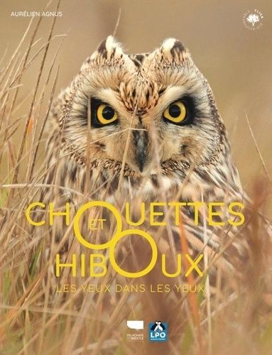 Emprunter Chouettes et hiboux. Les yeux dans les yeux livre