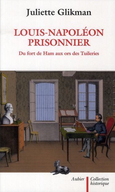 Emprunter Louis-Napoléon prisonnier. Du fort de Ham aux ors des Tuileries livre