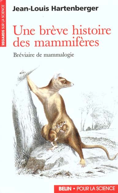 Emprunter Une brève histoire des mammifères. Bréviaire de mammologie livre