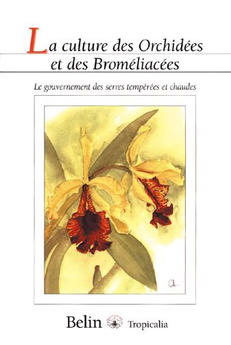 Emprunter La culture des orchidées et des broméliacées. Le gouvernement des serres tempérées et chaudes livre