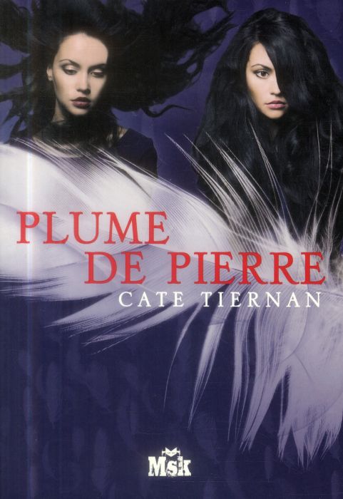 Emprunter Plume de pierre livre