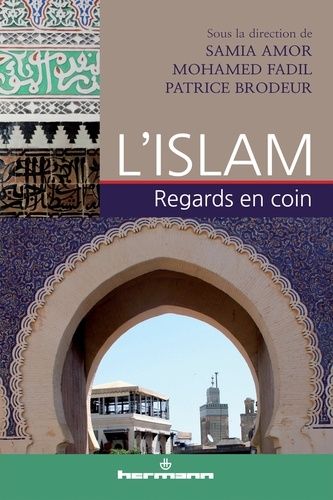 Emprunter L'islam livre