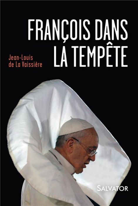 Emprunter François dans la tempête. Une Eglise entre ombres et lumières livre