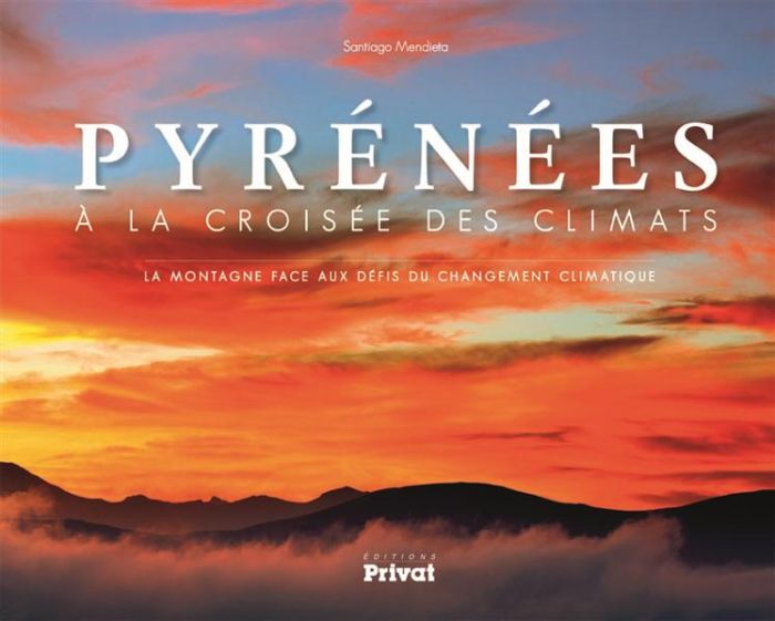 Emprunter Pyrénées à la croisée des climats. La montagne face aux défis du changement climatique livre