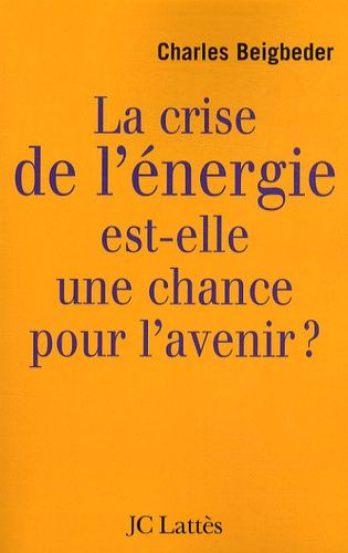 Emprunter La crise de l'énergie est-elle une chance pour l'avenir ? livre