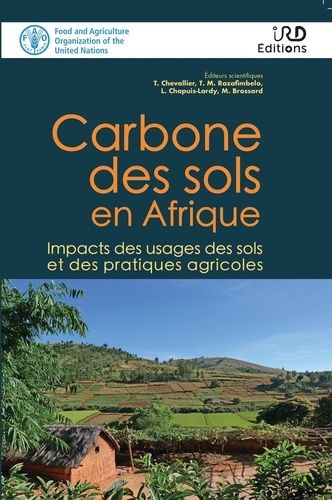 Emprunter Carbone des sols en Afrique. Impacts des usages des sols et des pratiques agricoles livre