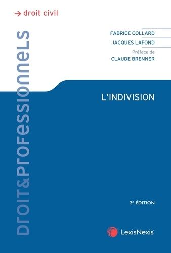 Emprunter L'indivision. 2e édition livre