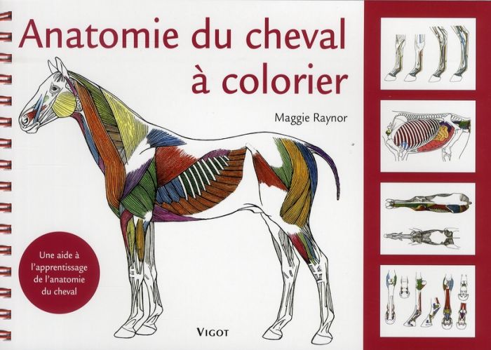 Emprunter Anatomie du cheval à colorier. Une aide à l'apprentissage de l'anatomie du cheval livre