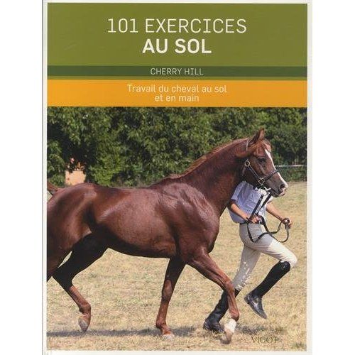 Emprunter 101 exercices au sol livre