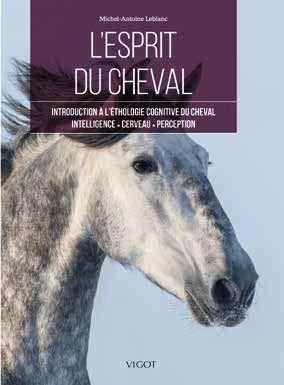 Emprunter L'esprit du cheval. Introduction à l'éthologie cognitive du cheval livre