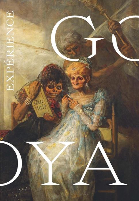 Emprunter Expérience Goya livre