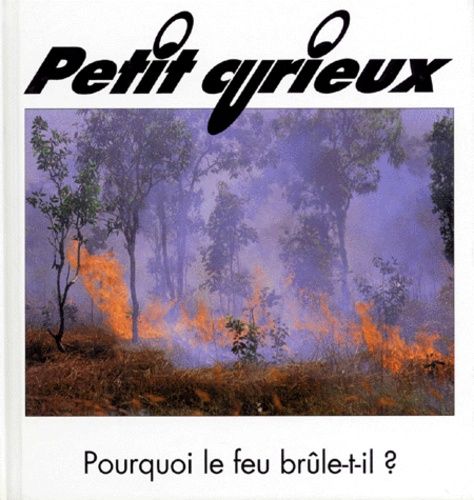 Emprunter POURQUOI LE FEU BRULE-T-IL ? livre