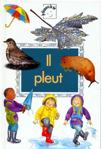 Emprunter Il pleut livre