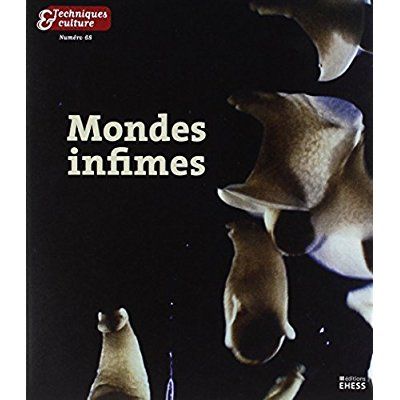 Emprunter Techniques & culture N° 68, 2017/2 : Mondes infimes livre