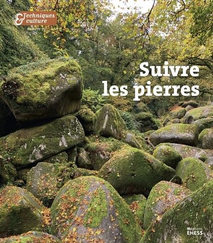 Emprunter Techniques & culture N° 79, 2024/1 : Suivre les pierres livre