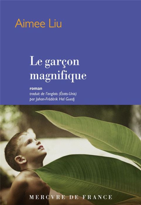 Emprunter Le garçon magnifique livre