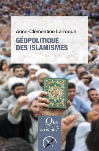 Emprunter Géopolitique des islamismes - 4e édition livre