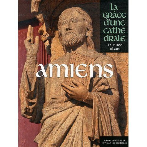 Emprunter Amiens. La grâce d'une cathédrale livre