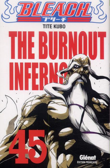 Emprunter Bleach Tome 45 : The burnout inferno livre