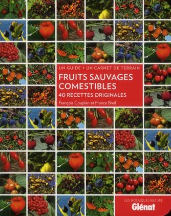 Emprunter Fruits sauvages comestibles. 40 recettes originales, un guide + un carnet de terrain livre