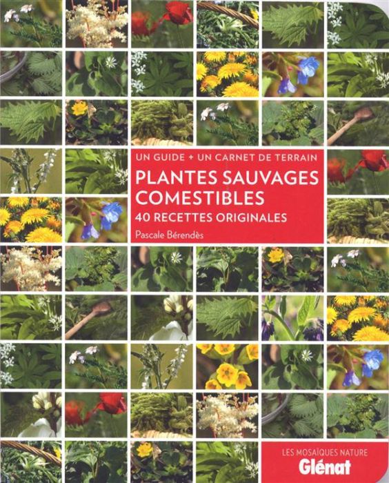 Emprunter Plantes sauvages comestibles. 40 recettes originales livre