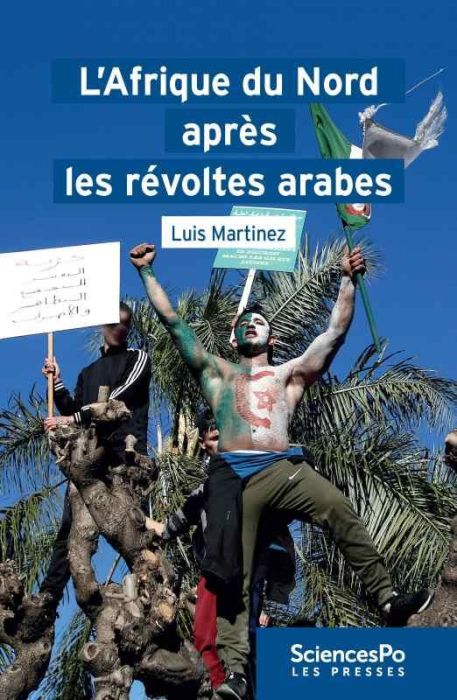 Emprunter L'AFRIQUE DU NORD APRES LES REVOLTES ARABES livre