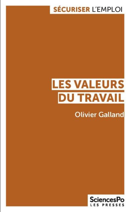 Emprunter Les valeurs du travail. Contrastes et évolutions en France et dans les pays développés livre