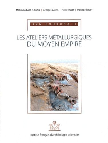 Emprunter Ayn Soukhna. Volume 2, Les ateliers métallurgiques du Moyen Empire, avec 1 CD-ROM livre