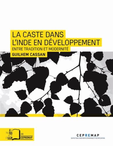 Emprunter La caste dans l'Inde en développement. Entre tradition et modernité livre