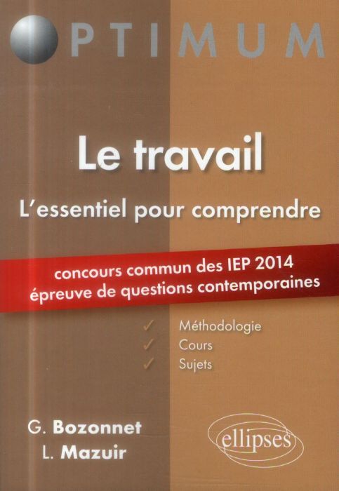 Emprunter Le travail. L'essentiel pour comprendre : méthodologie, cours et sujets livre