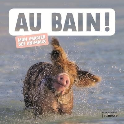 Emprunter Au bain ! livre