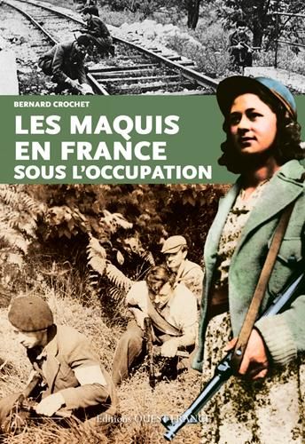 Emprunter Histoire des maquis en France sous l'occupation livre