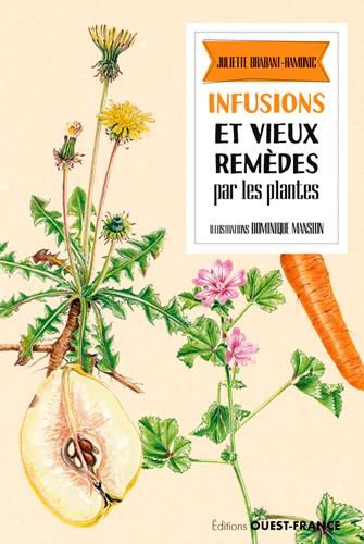 Emprunter Infusions et vieux remèdes par les plantes livre