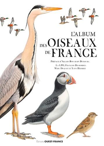 Emprunter Le grand album des oiseaux de France livre