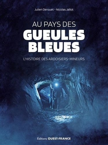 Emprunter Au pays des gueules bleues livre