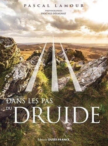 Emprunter Dans les pas du druide livre