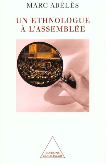 Emprunter Un ethnologue à l'Assemblée livre