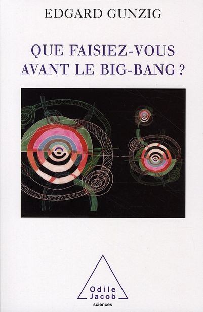 Emprunter Que faisiez-vous avant le Big Bang ? livre