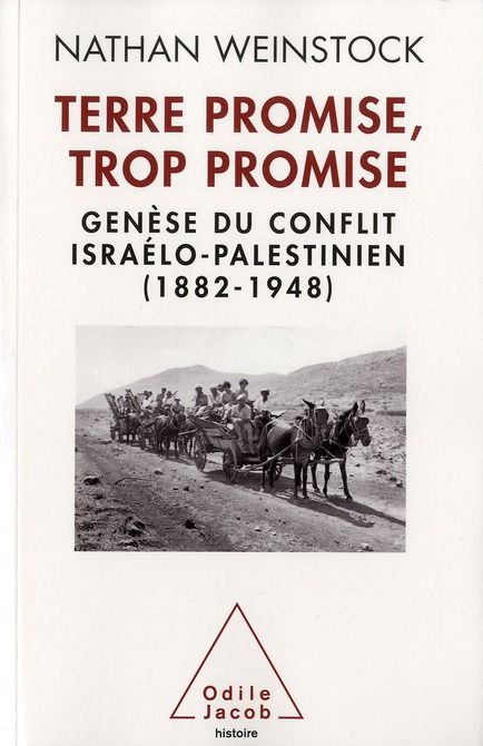 Emprunter Terre Promise, trop promise. Genèse du conflit israélo-palestinien, 1882-1948 livre