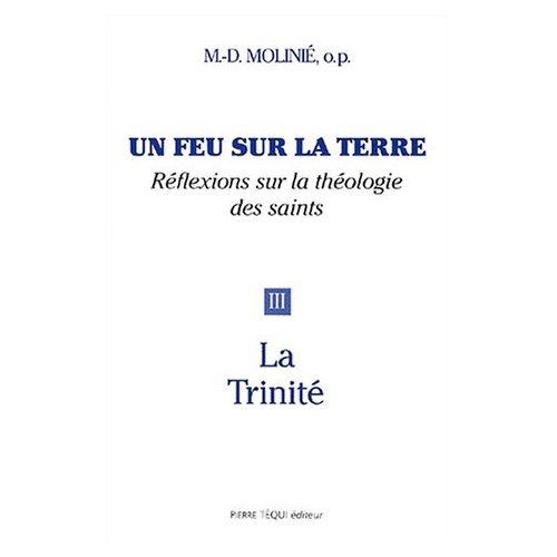 Emprunter Un feu sur la terre. Tome 3, La Trinité livre