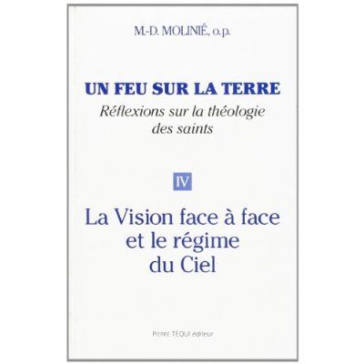 Emprunter Un feu sur la terre - Tome 4. La vision face à face et le régime du ciel livre