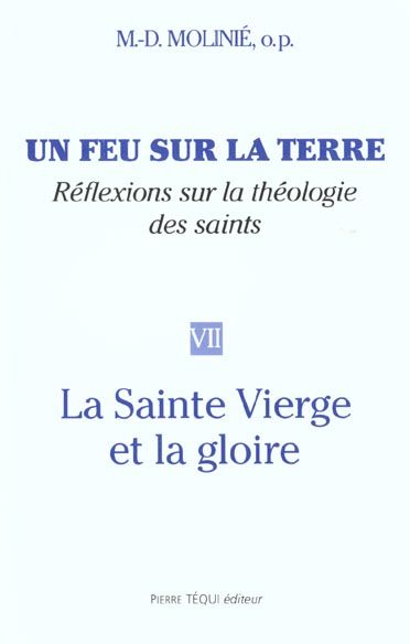 Emprunter Un feu sur la terre. Tome 7, La Sainte Vierge et la gloire livre