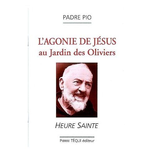 Emprunter L'agonie de Jésus au Jardin des Oliviers. Heure sainte livre