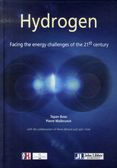 Emprunter Hydrogen. Facing the energy challenges of the 21st century livre